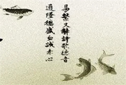 我没考驾照梦到自己开车
